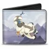 Buckle Down Buckle-Down Avatar And The Last Airbender Aang Bi-Fold Wallet