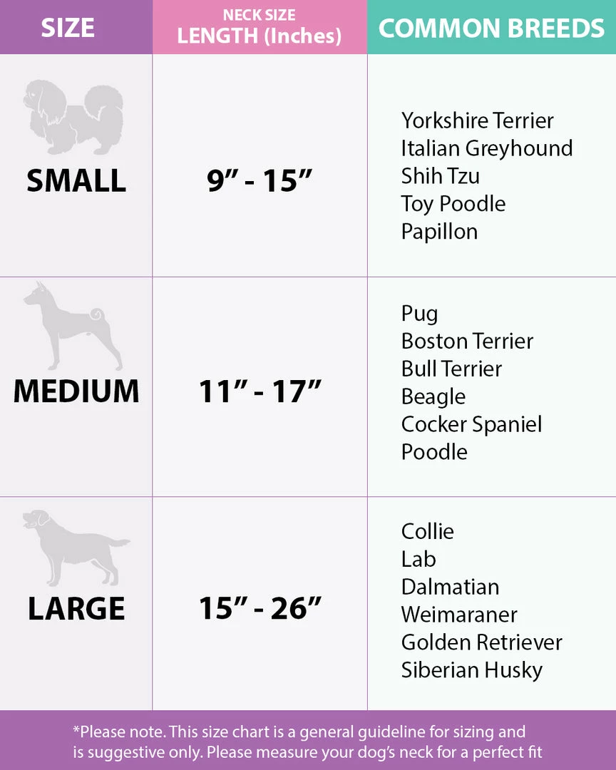 Buckle Down Pets Disney Minnie Mouse Dog Collar 4 Buckle Down Pets Disney Minnie Mouse Dog Collar